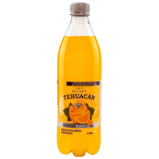 Tehuacan Orange Beverage - Refresco De Naranjada (600mL)