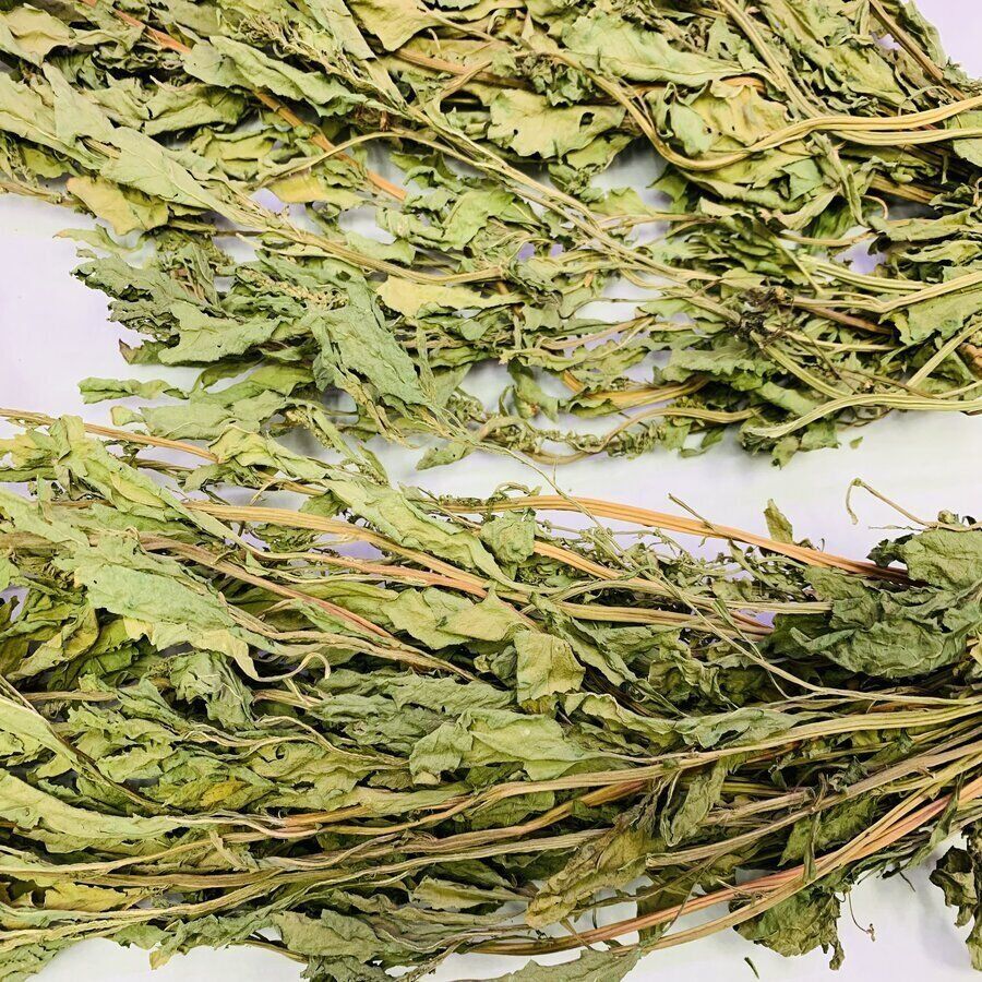 Dried Epazote - Epazote Seco (20g) - Image 3