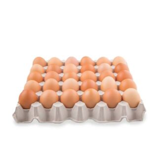 30-Pack of Farmer Eggs - Huevos Criollos