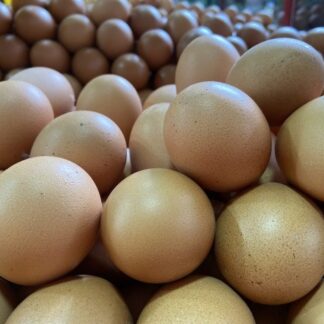 10-Pack of Farmer Eggs - Huevos Criollos x 10 pieces